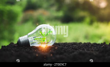 Concetto di energia rinnovabile, protezione ambientale e fonti di energia rinnovabile sostenibili. Le piante crescono in una lampadina posizionata su una superficie del suolo AN Foto Stock