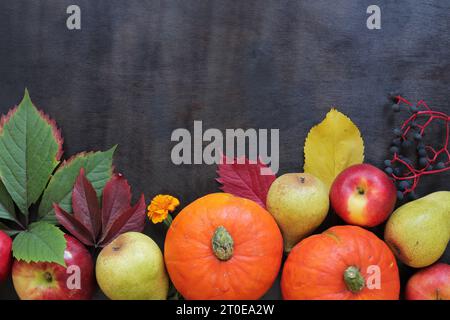 Il Ringraziamento e il design autunnale. Sfondo autunnale con zucche mature, foglie, mele e pere su un tavolo di legno scuro. Base piatta, vista dall'alto con Foto Stock