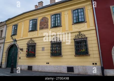 Bellissime case storiche in via Táncsics Mihály, quartiere del Castello di Buda, Budapest, Ungheria Foto Stock