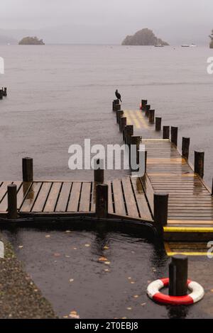 Windermere Cumbria, Regno Unito. 6 ottobre 2023. Meteo Lago Windermere i turisti si vestono per il vento forte e la pioggia forte credito: Gordon Shoosmith/Alamy Live News Foto Stock