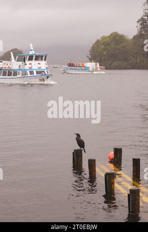 Windermere Cumbria, Regno Unito. 6 ottobre 2023. Meteo Lago Windermere i turisti si vestono per il vento forte e la pioggia forte credito: Gordon Shoosmith/Alamy Live News Foto Stock