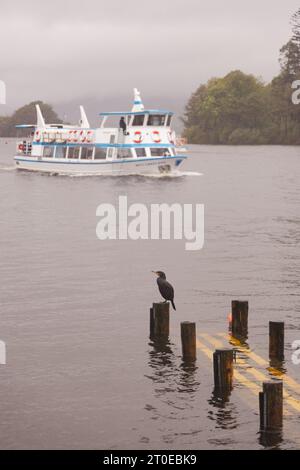 Windermere Cumbria, Regno Unito. 6 ottobre 2023. Meteo Lago Windermere i turisti si vestono per il vento forte e la pioggia forte credito: Gordon Shoosmith/Alamy Live News Foto Stock