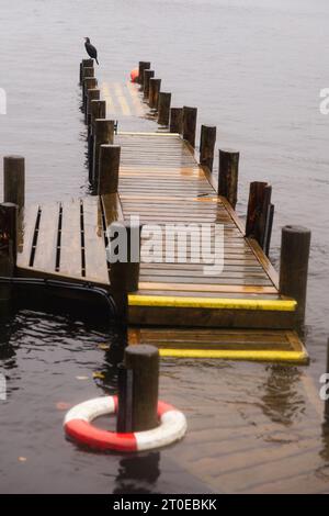 Windermere Cumbria, Regno Unito. 6 ottobre 2023. Meteo Lago Windermere i turisti si vestono per il vento forte e la pioggia forte credito: Gordon Shoosmith/Alamy Live News Foto Stock