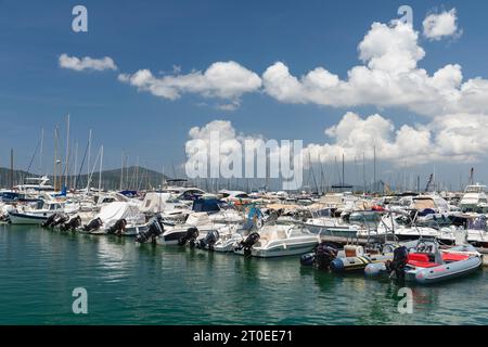 Porto turistico di Alghero, provincia di Sassari, Sardegna, Italia Foto Stock