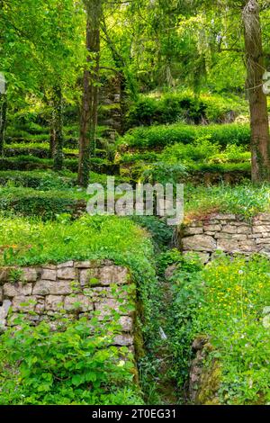 Ex terrazze di vigneti a Fuussebau (Fuchsbau) sul sentiero escursionistico Mantenacher Fiels, Manternach, Lussemburgo, Traumschleifen Saar-Hunsrück Foto Stock