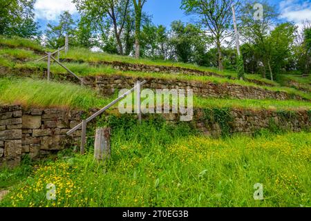 Ex vigneti di Manternach sul sentiero escursionistico Mantenacher Fiels, Manternach, Lussemburgo, Saar-Hunsrück Dream Loop Foto Stock