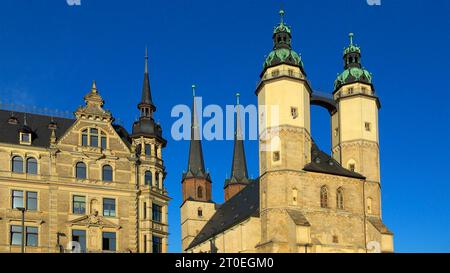 St Mary's Market Church, Halle an der Saale, Sassonia, Germania Foto Stock