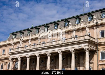 Spettacoli PIC: L'area del castello di Buda a Budapest PIC gavin rodgers/pixel8000 Foto Stock