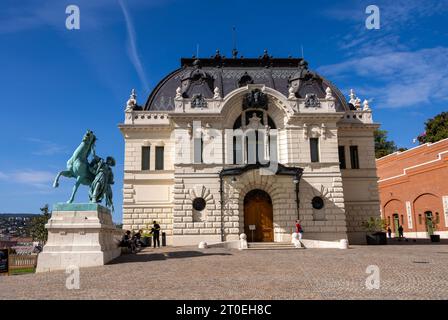 Spettacoli PIC: L'area del castello di Buda a Budapest PIC gavin rodgers/pixel8000 Foto Stock