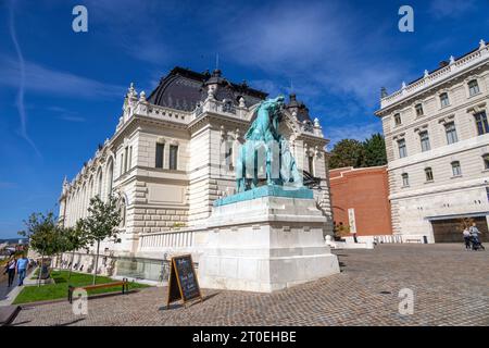 Spettacoli PIC: L'area del castello di Buda a Budapest PIC gavin rodgers/pixel8000 Foto Stock