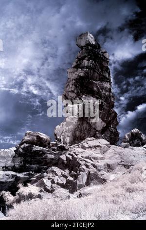 Europa, Germania, Sassonia-Anhalt, Thale, riserva naturale "Teufelsmauer" Foto Stock