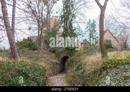 Roseburg vicino a Ballenstedt, Monti Harz, Sassonia-Anhalt, Germania, Europa Foto Stock