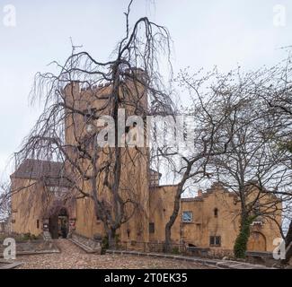 Roseburg vicino a Ballenstedt, Monti Harz, Sassonia-Anhalt, Germania, Europa Foto Stock