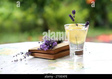 Limonata fatta in casa con limone e lavanda in un bicchiere di vetro su un tavolo in giardino con una niga e un bouquet di lavanda. deto rilassante con tonico di raffreddamento Foto Stock