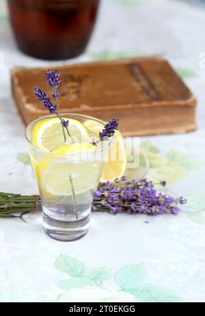 Limonata fatta in casa con limone e lavanda in un bicchiere di vetro su un tavolo in giardino con una niga e un bouquet di lavanda. deto rilassante con tonico di raffreddamento Foto Stock