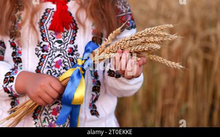 Un bouquet di spikelet di grano legato con un nastro giallo e blu nelle mani di una ragazza in una camicia ricamata. Le mani da vicino si concentrano sulle orecchie di mais. Foto Stock