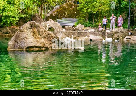 Piccolo parco lago con turisti e cigni Foto Stock