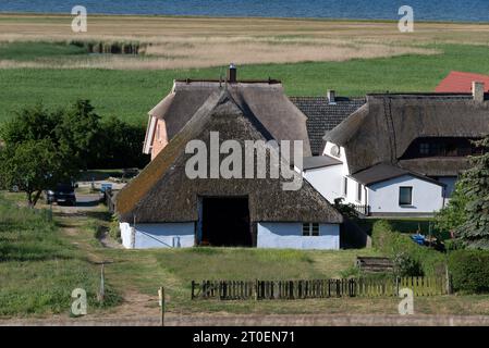 Case di paglia, Pfarrwitwenhaus, Groß Zicker, Mönchgut, Isola di Rügen, Meclemburgo-Pomerania occidentale, Germania Foto Stock