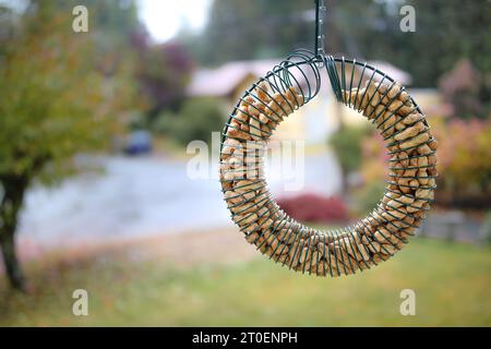 La corona dell'alimentatore per uccelli appesa fuori dal finestrino nei giorni di pioggia. Alimentatore di uccelli riempito di conchiglie di arachidi con strade residenziali e fogliame sfocati. Usato t Foto Stock