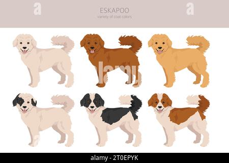 Eskapoo clipart. Eskimo dog Poodle mix. Set di colori diversi per il rivestimento. Illustrazione vettoriale Illustrazione Vettoriale