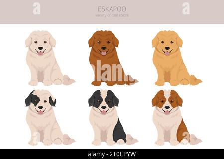 Eskapoo clipart. Eskimo dog Poodle mix. Set di colori diversi per il rivestimento. Illustrazione vettoriale Illustrazione Vettoriale