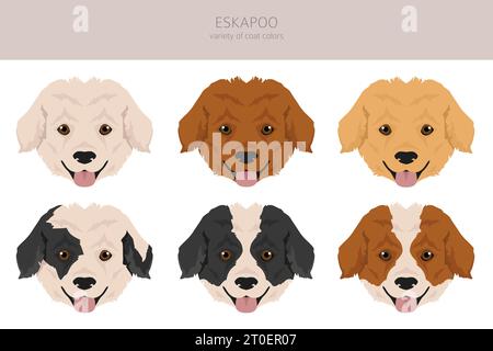 Eskapoo clipart. Eskimo dog Poodle mix. Set di colori diversi per il rivestimento. Illustrazione vettoriale Illustrazione Vettoriale