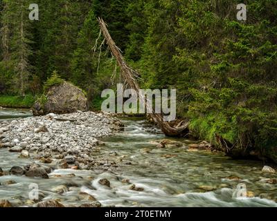 Sul Lechweg sopra il villaggio di Lech am Arlberg Foto Stock