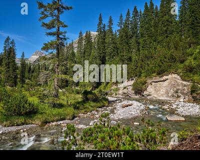 Sul Lechweg sopra il villaggio di Lech am Arlberg Foto Stock