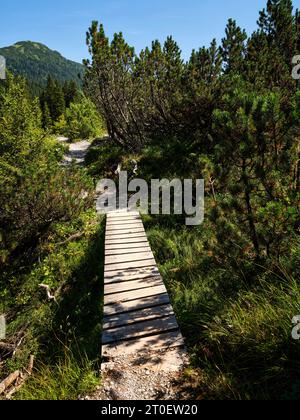 Sul Lechweg sopra il villaggio di Lech am Arlberg Foto Stock