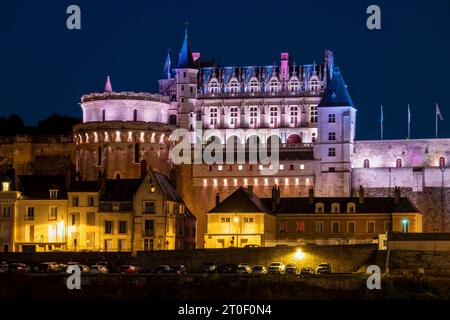 Il castello di Amboise è uno dei castelli più importanti della Loira in termini di storia culturale ed è stato spesso una residenza reale nel XV e XVI secolo. È stato elencato come monumento storico classificato dal 1840. Foto Stock