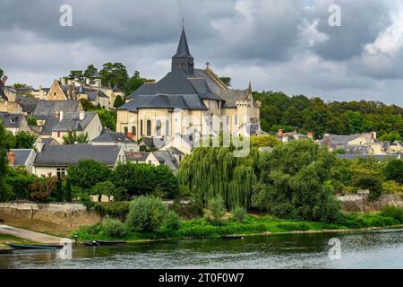 Vista sulla Vienne vicino a Candes-Saint-Martin fino alla chiesa di pellegrinaggio di San Martino. Il comune di Candes-Saint-Martin si trova direttamente alla foce della Vienne nella Loira. Foto Stock