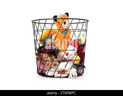 Assortimento di giocattoli per cani nel cestino. Varietà di molti animali peluche di grandi dimensioni, corde e ossa da masticare per coccolare un cane medio-grande. Arricchimento comportamentale Foto Stock