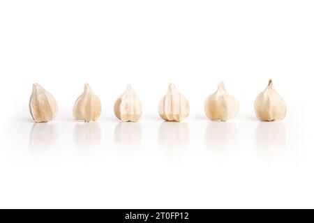 Bucce di ciliegio macinate isolate in fila. La raccolta di ciliegie macinate della zia Molly. Molte piccole bucce di carta. Bacca di Poha, pichuberry, bacca inca o fragola tom Foto Stock
