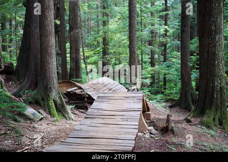 Pista ciclabile nella foresta durante l'estate con percorsi in legno. Passerella curva in legno con letto pieghevole. Foresta pluviale BC con alberi alti e la lussureggiante folia Foto Stock