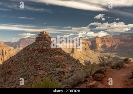 Il punto panoramico inizia ad essere illuminato dal sole del mattino nel Parco Nazionale del Grand Canyon Foto Stock