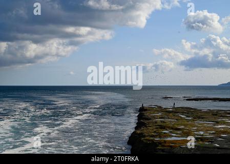 Vista dalla centrale nucleare di Torness Foto Stock