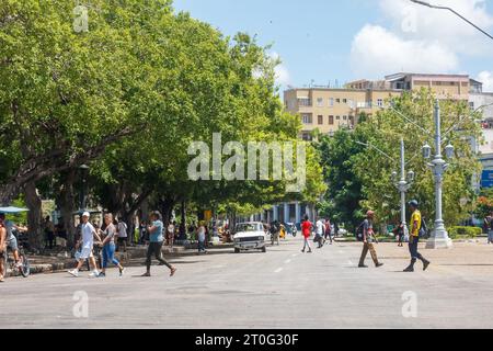 Persone che attraversano una strada o un viale nell'area del Parque Central. Il quartiere del centro città ha alberi e lampioni stradali. Lo stile di vita della vera gente cubana Foto Stock