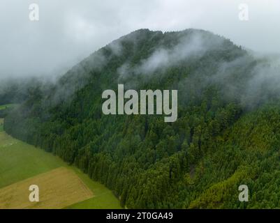 Vista aerea dell'area intorno al lago Vulcano Lagoa Rasa sull'isola Flores, arcipelago delle Azzorre, Portogallo. Foto Stock