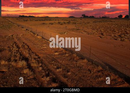 La recinzione del dingo che separa il nuovo Galles del Sud dal Queensland nell'estremo entroterra. Foto Stock