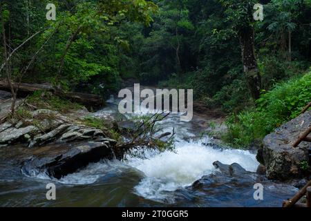 Splendida cascata nella foresta pluviale con acqua limpida. Ruscello che corre veloce nella foresta verde nella stagione delle piogge. Tranquillo e tranquillo scenario di Foto Stock