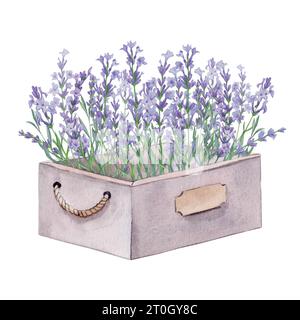 Acquerello lavanda dipinto a mano in una scatola di legno. Composizione decorativa nello stile della Provenza. Scatola di fiori per inviti di nozze e cartoline. Foto Stock