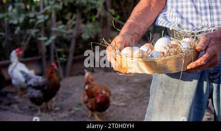 un contadino maschio tiene le uova di gallina nelle sue mani. Messa a fuoco selettiva. Foto Stock