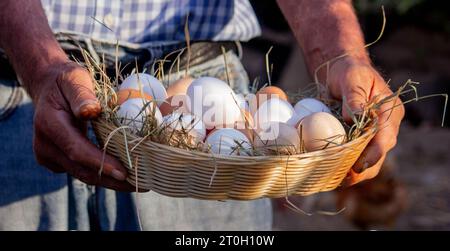 un contadino maschio tiene le uova di gallina nelle sue mani. Messa a fuoco selettiva. Foto Stock