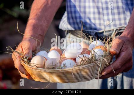 un contadino maschio tiene le uova di gallina nelle sue mani. Messa a fuoco selettiva. Foto Stock