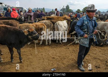 Kochkor, Kirghizistan - 30 settembre 2023: Mercato settimanale degli animali domenicali a Kochkor, Kirghizistan. Foto Stock