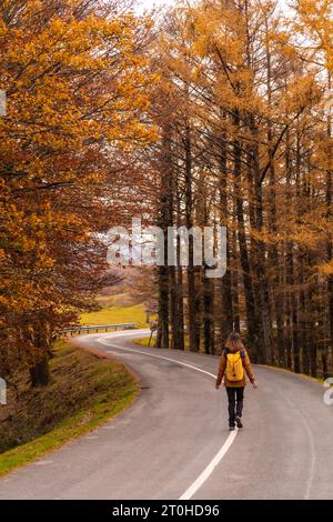 Una giovane donna che cammina lungo una strada circondata da alberi in autunno, Monte de Erlaitz nella città di Irun, Gipuzkoa. Paesi baschi Foto Stock