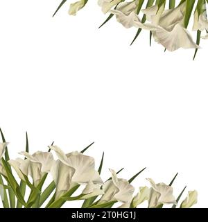 Gladioli acquerelli. Banner floreale, cornice con fiori bianchi, gemme e foglie dipinte a mano illustrazione isolata su sfondo bianco. Botanico Foto Stock