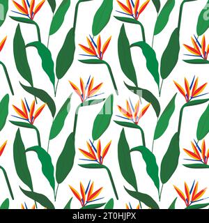 Motivo tropicale senza cuciture con strelitzia. Illustrazione vettoriale. Illustrazione Vettoriale