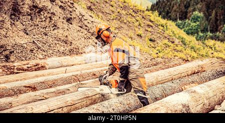 Lavoro di taglialegna con motosega nella foresta. Taglialegna sega a catena per alberi su sega Foto Stock