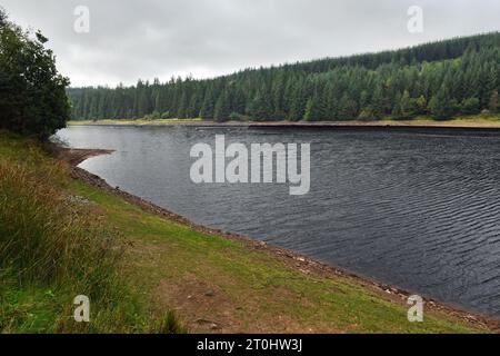 La sezione superiore del serbatoio di Cantref, il serbatoio centrale tra il serbatoio di Beacons e il lago di Llwyn Onn al largo della A470 in Brecon Beacons Foto Stock